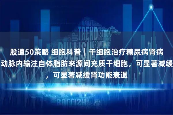 股道50策略 细胞科普｜干细胞治疗糖尿病肾病最新进展：动脉内输注自体脂肪来源间充质干细胞，可显著减缓肾功能衰退